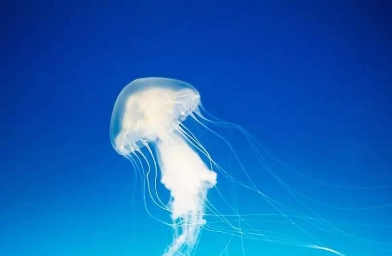 TIM截圖20190603173447.jpg TIM截圖20190603173447.jpg