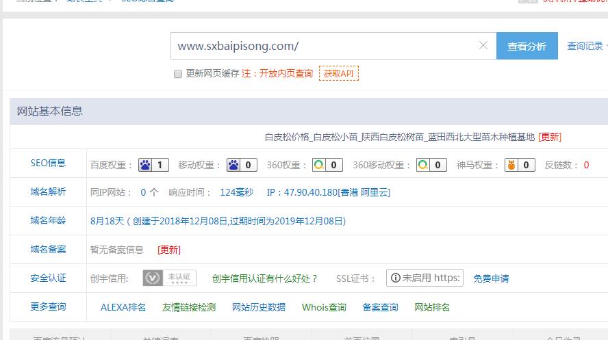 關于陜西藍田白皮松基地售賣白皮松獨立站營銷排名百度首頁技巧解析