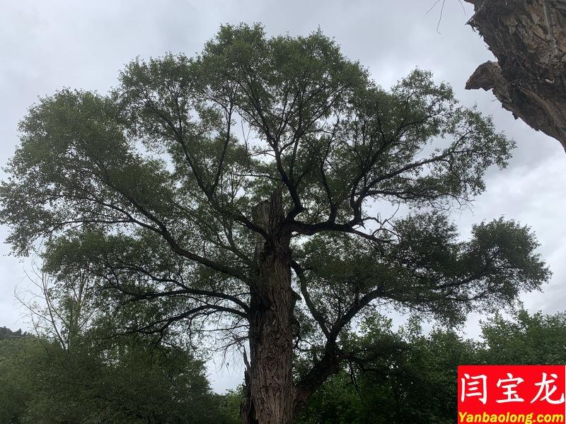 人活著就應(yīng)該活動(dòng)，甘南還是值得去一下的！