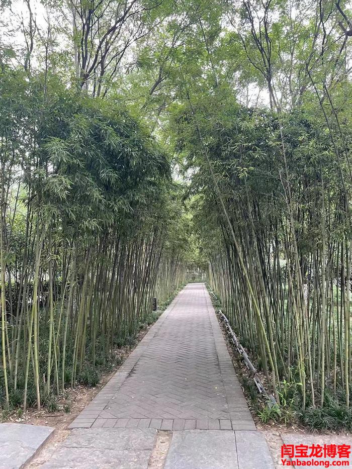 休養(yǎng)生息，保養(yǎng)身體，提升自身免疫力！